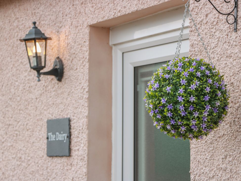 A hanging plant and light fixture by the door at The Dairy in Airdrie
