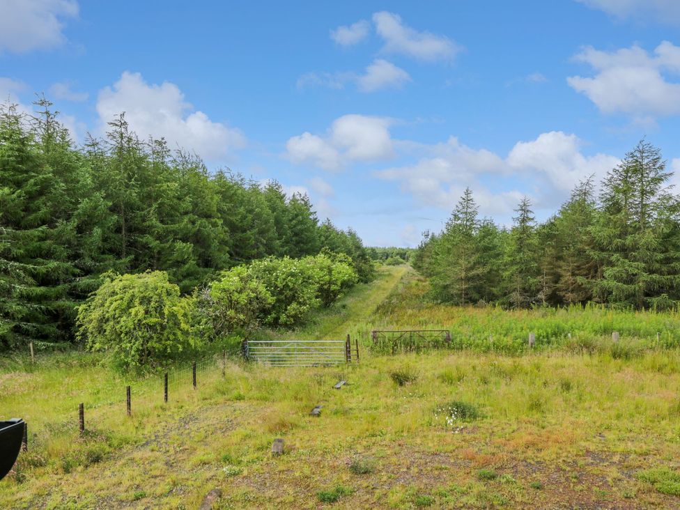 A path leading into a forested area at The Dairy in Airdrie