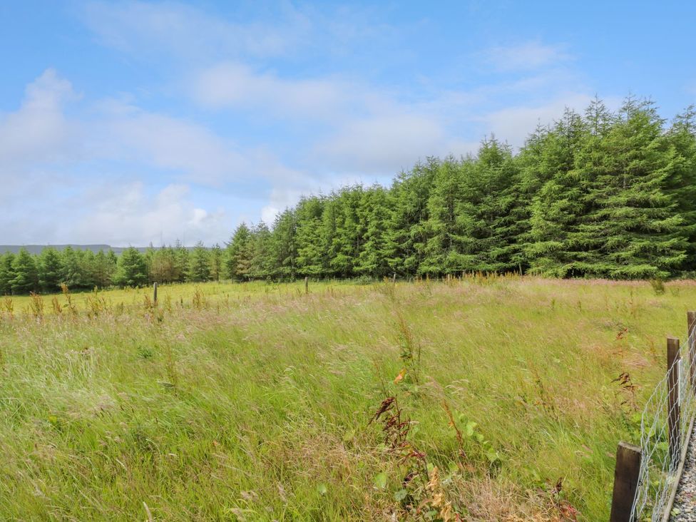 A field with grass and trees at The Dairy in Airdrie