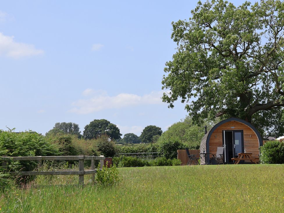 A pod with seating in a garden at Honeypot Hideaways - Acacia
