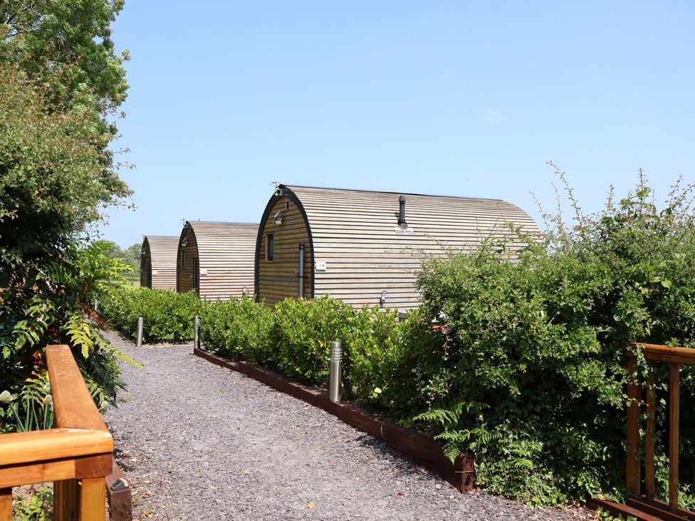 Cabins with pathway surrounded by bushes at Honeypot Hideaways - Acacia