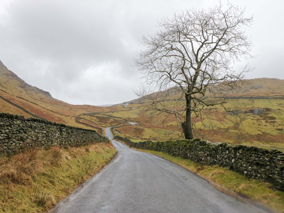 A road with a tree and stone walls along the sides in a mountain area