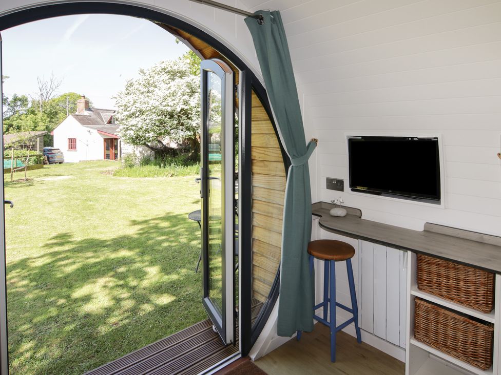 Florence Pod - South Wales - 1175705 - thumbnail photo 8