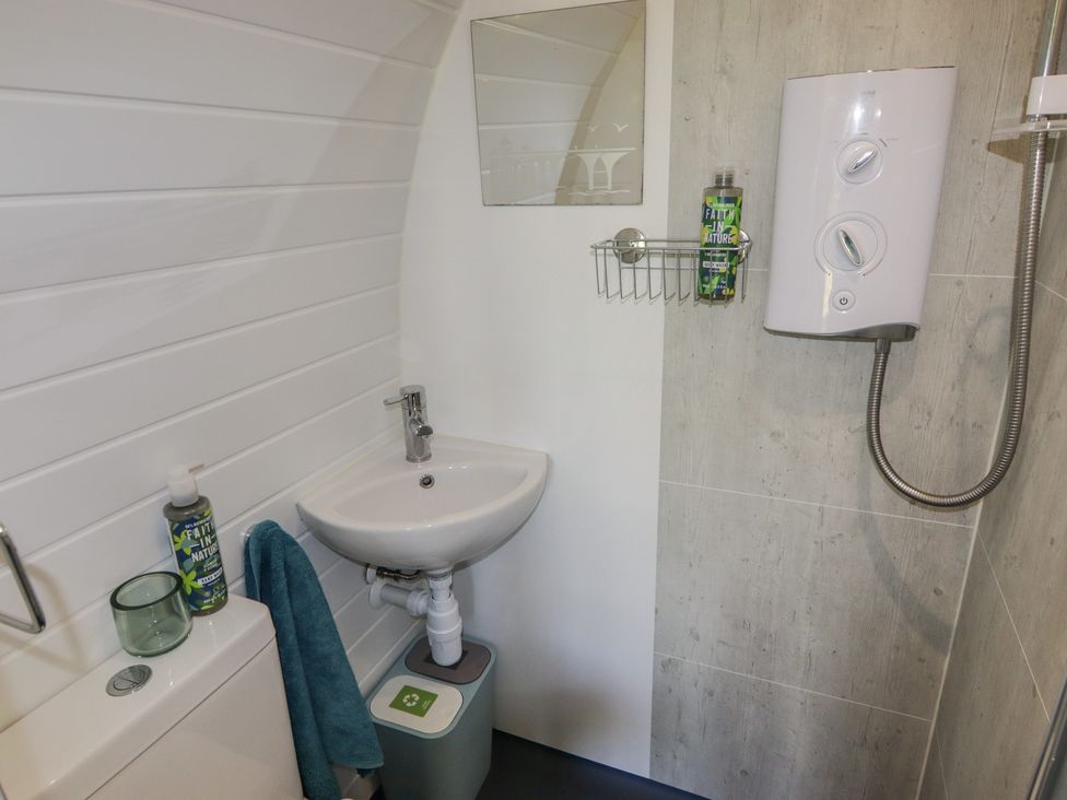 Florence Pod - South Wales - 1175705 - thumbnail photo 14