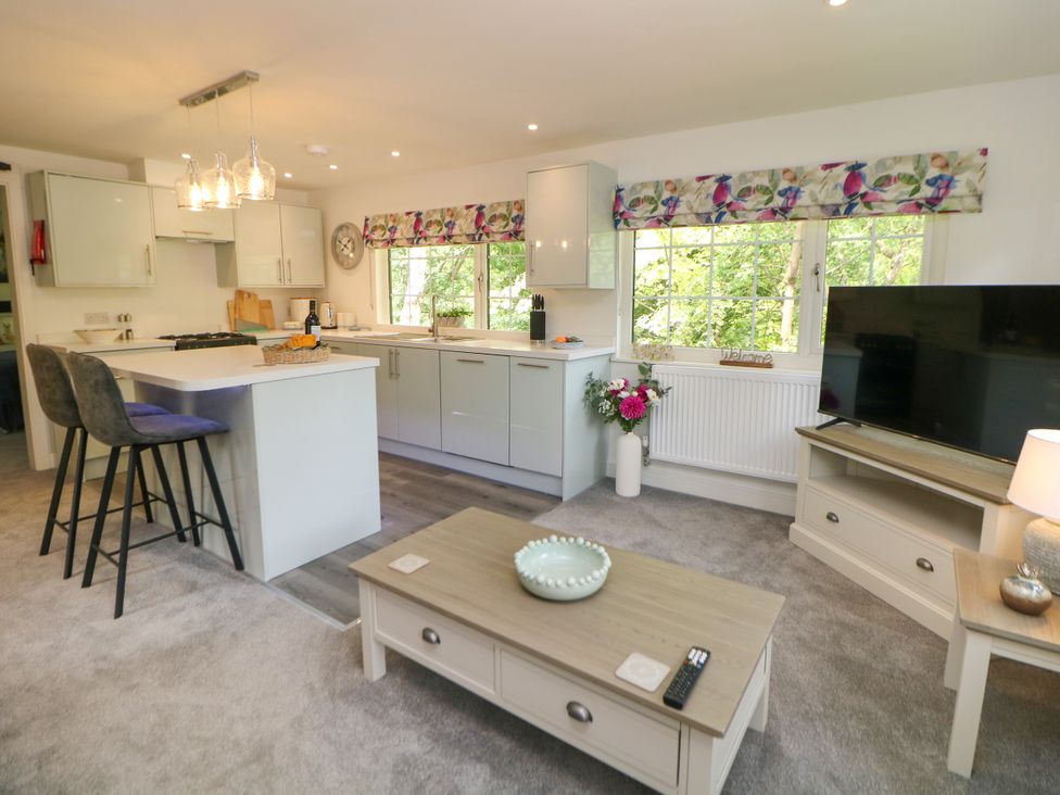 A kitchen with modern appliances and a television at Stoney Rock Lodge