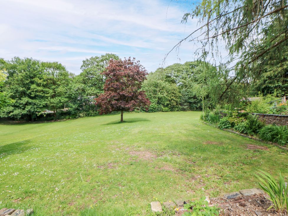 A garden with a tree and grassy area at Stoney Rock Lodge