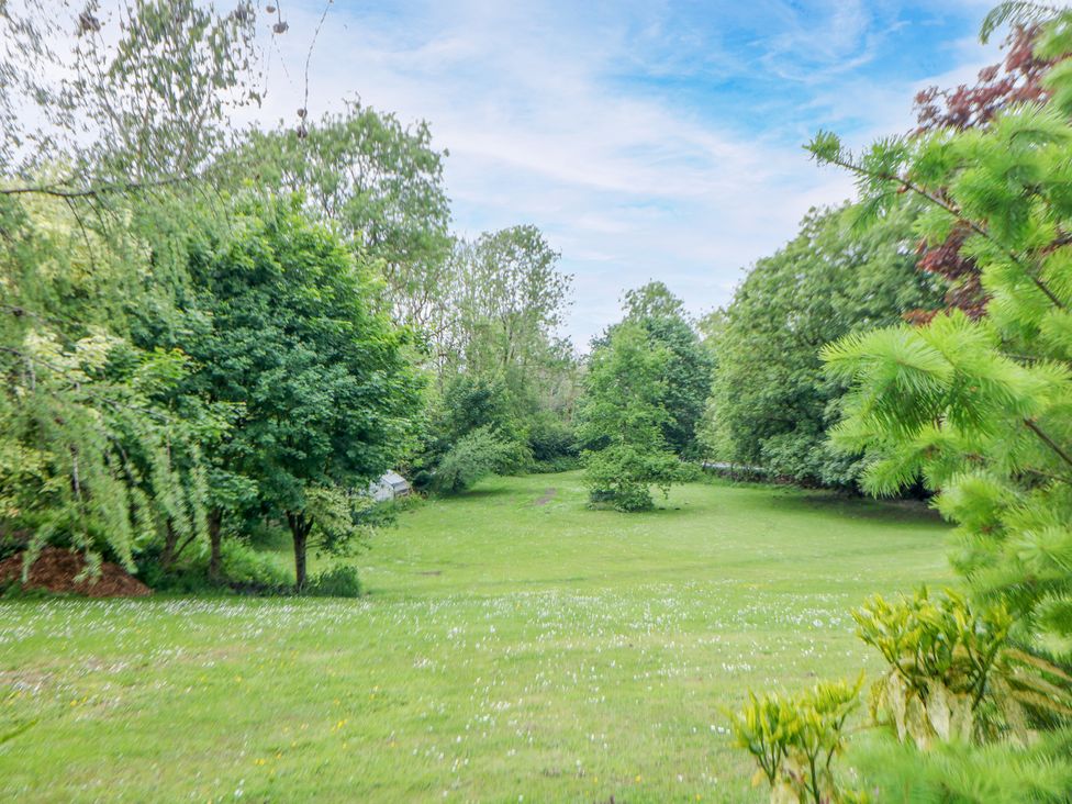 A garden with grass and trees at Stoney Rock Lodge