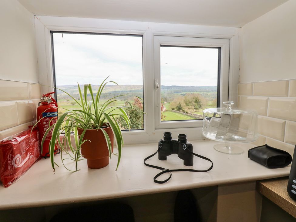 A kitchen window with a plant and binoculars at Eastend Cottage in West Witton