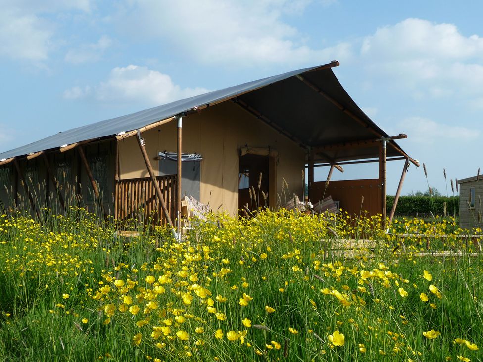 A tent-like structure with a covered porch among yellow flowers in a grassy field at Bramley Lodge in Coxbridge near Glastonbury