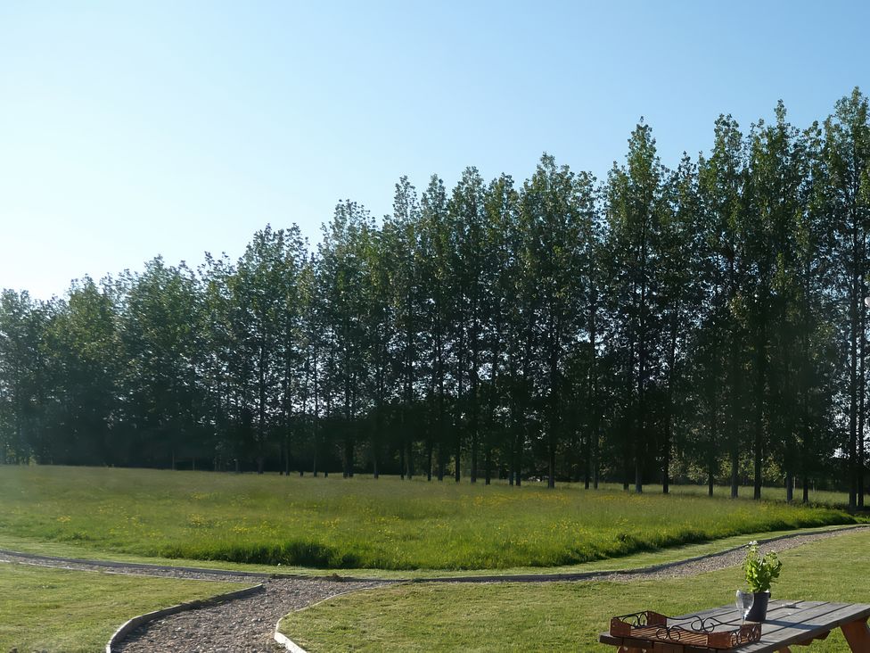 A grassy field with a row of tall trees in the background and a winding gravel path in the foreground with a wooden bench and plants near the path at Bramley Lodge in Coxbridge near Glastonbury