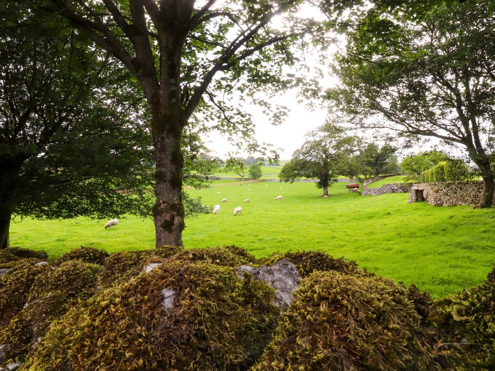 A field with grass and sheep near trees at Welly Bob Cottage in Airton