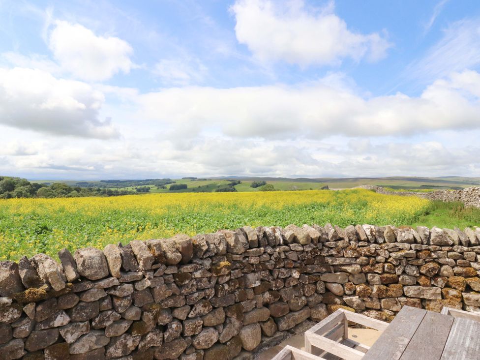A view of a yellow flower field with a stone wall at Carden Laithe Barn Threshfield