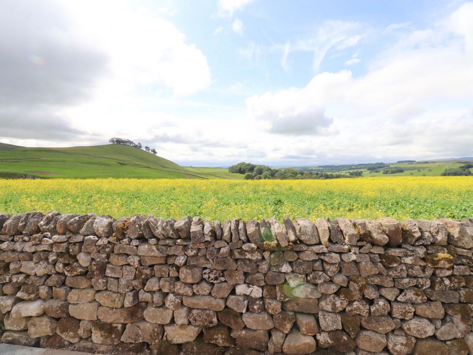 A view of yellow flowers and green fields with a stone wall at Carden Laithe Barn Threshfield
