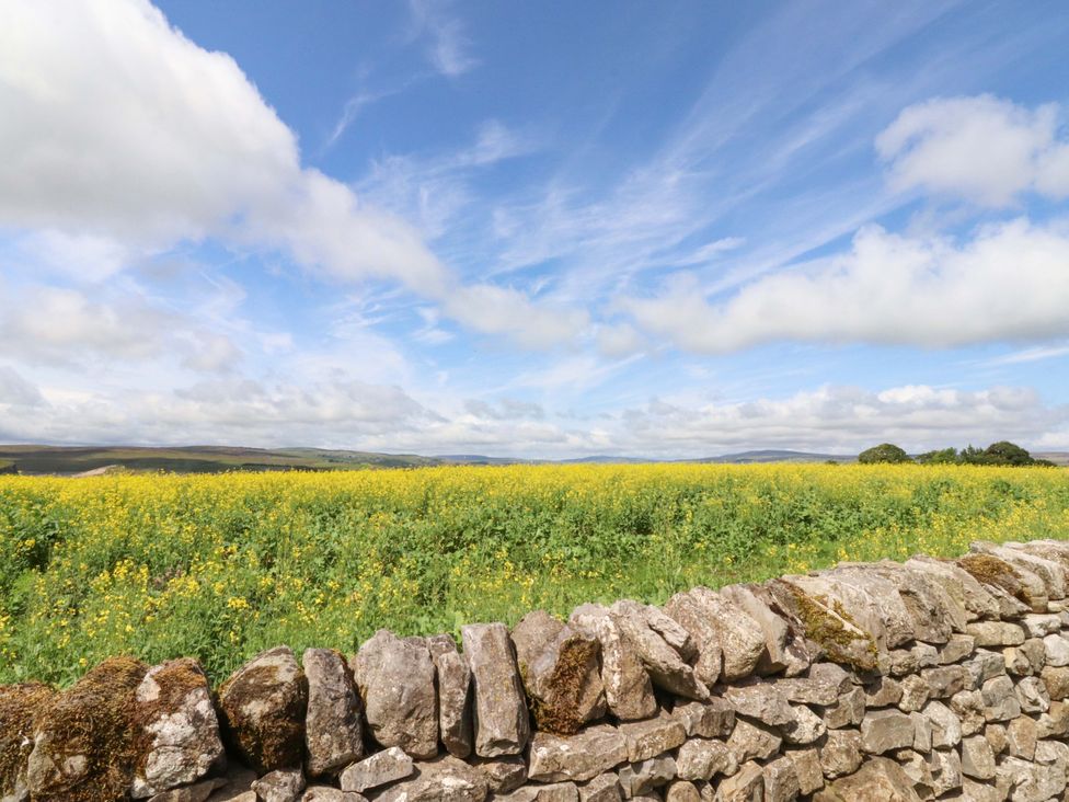 A landscape with a stone wall and a field of yellow flowers at Carden Laithe Barn Threshfield