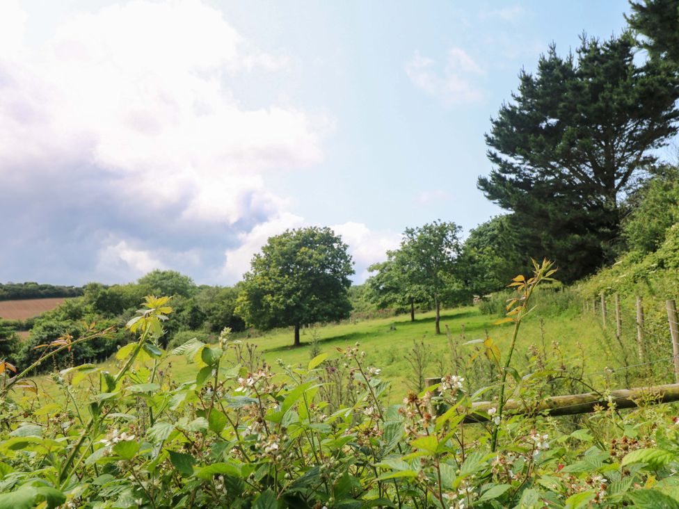A field with bushes and trees at The Cow Shed in 