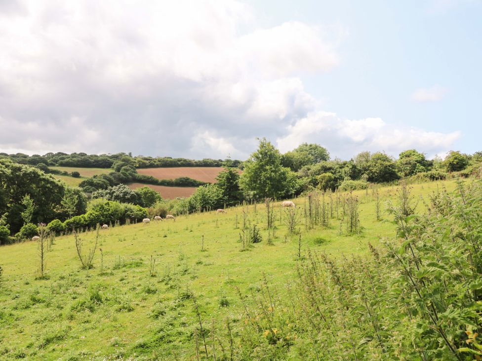 A field with sheep and trees in the landscape at The Cow Shed in 