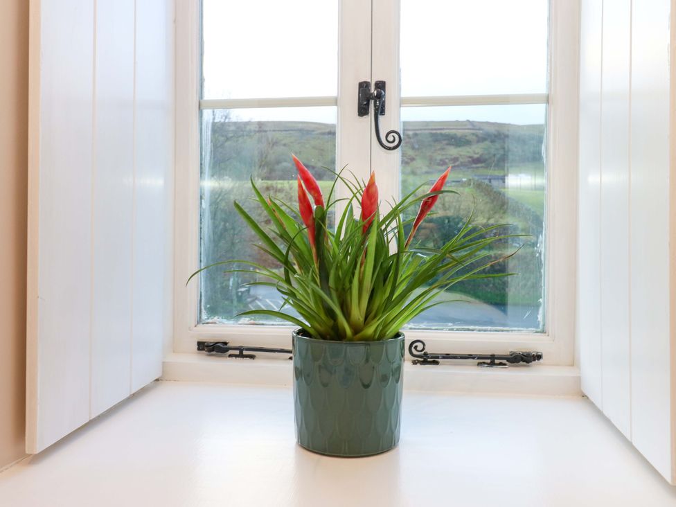 A plant in a pot on a window sill at The Old Dairy Muker