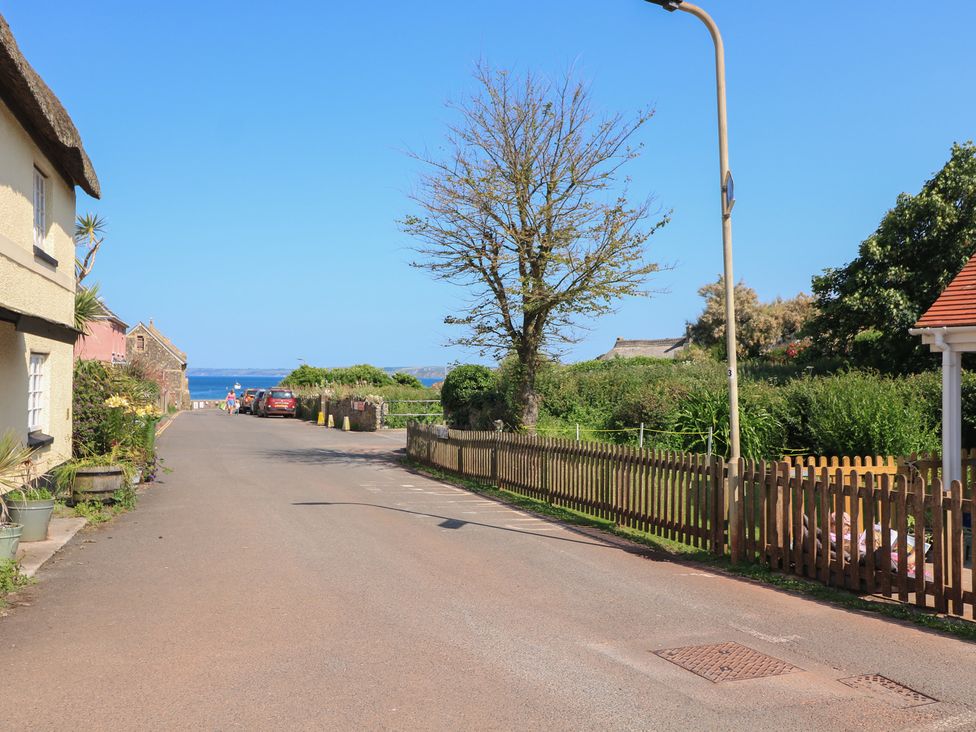 A road with houses and a tree leading to the ocean at 2 The Square in Hope Cove