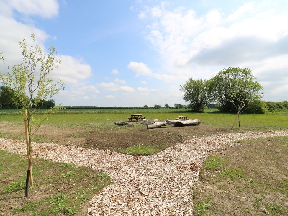 An open grassy field with two small trees and a wood chip path leading to picnic tables and logs