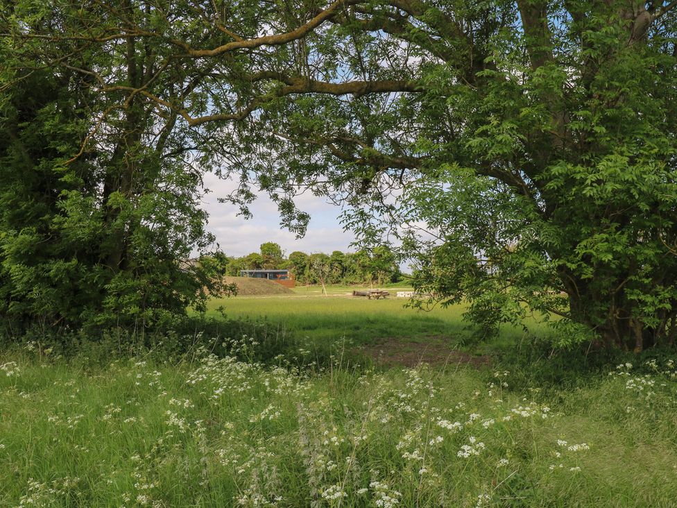 A grassy field with white wildflowers framed by green trees and a picnic table in the distance at Barn Owl in Lode near Bottisham