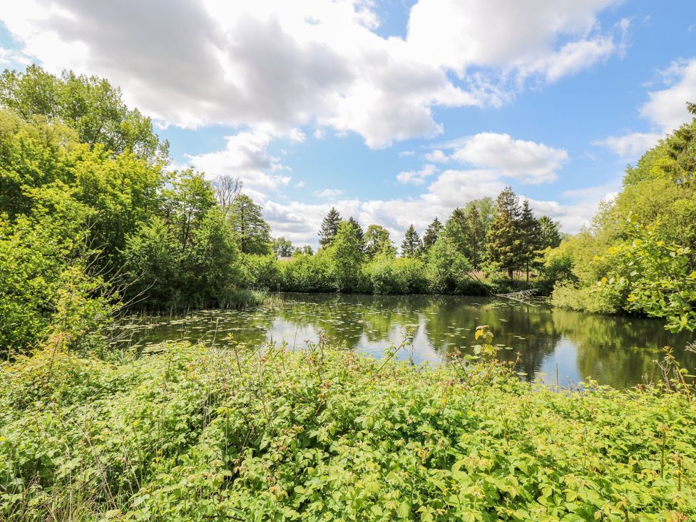 A pond surrounded by trees and greenery at Lakeside Barn Aylsham