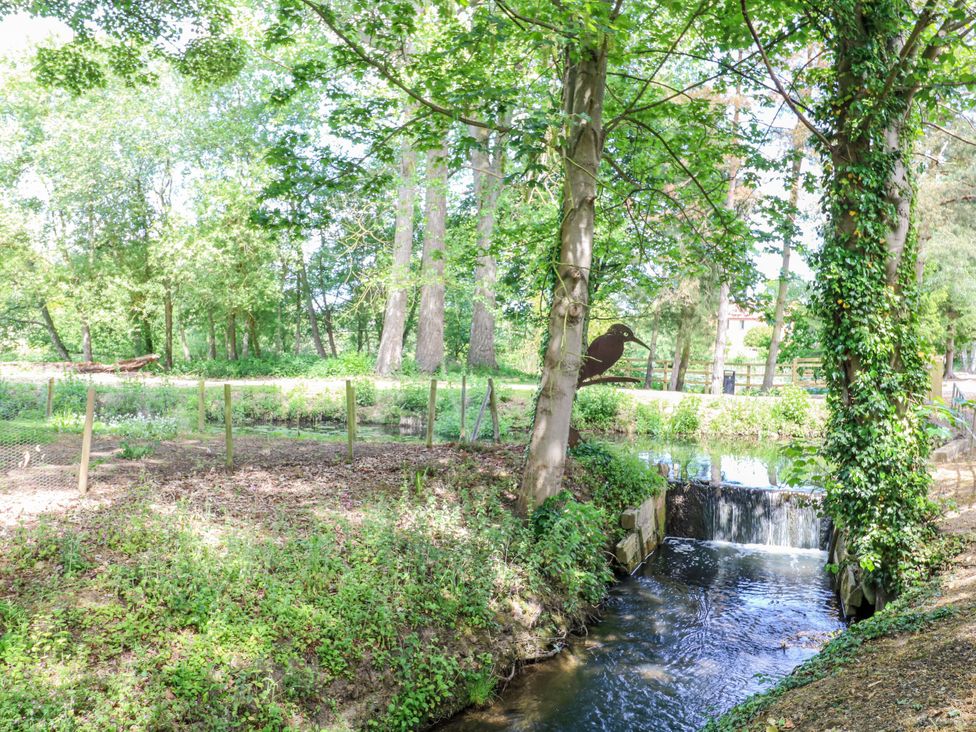A stream with a waterfall and trees beside at Lakeside Barn Aylsham