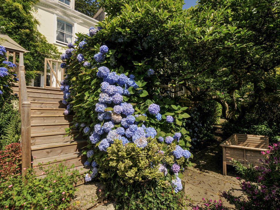 A garden with hydrangeas and steps leading to a house at Trenare in Truro