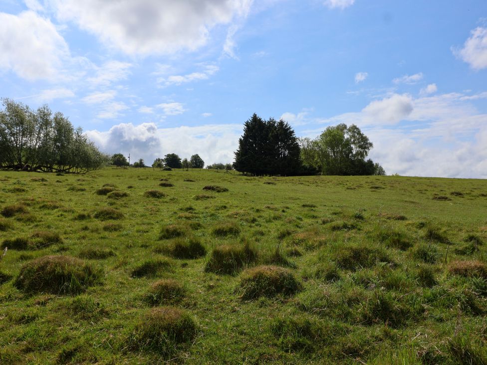 A grassy field with patches of raised grass and trees under a partly cloudy sky at Hillside in Bishops Cleeve