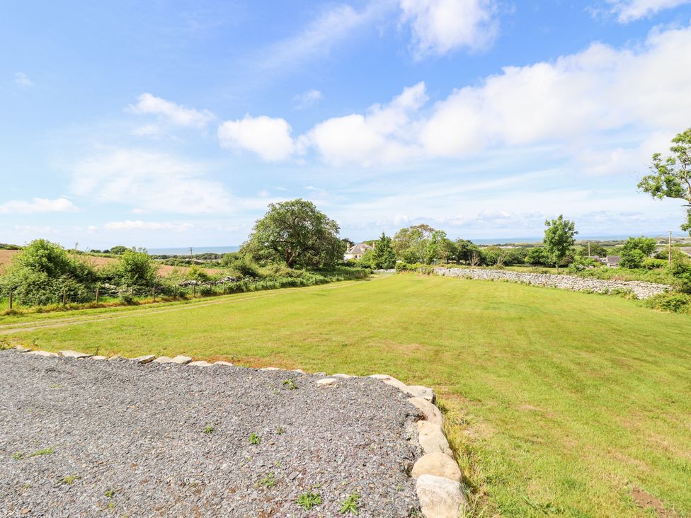A garden area with grass and trees at Perth Y Deri in Llanddwywe