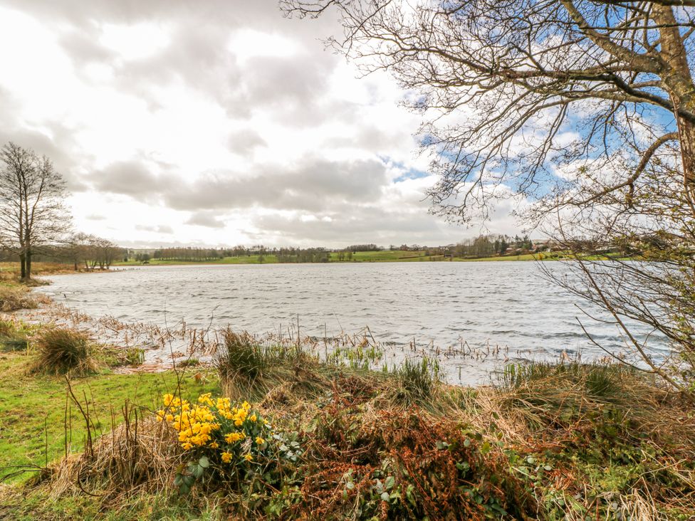 A landscape view of a lake with grass and trees at The Old Coach House in Lockerbie