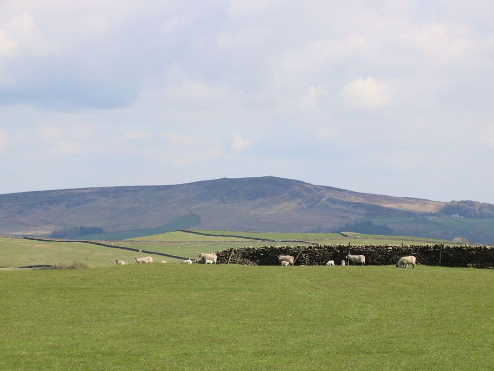 Kingfisher Lodge - Yorkshire Dales - 1175977 - thumbnail photo 15