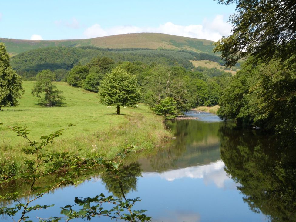 Kingfisher Lodge - Yorkshire Dales - 1175977 - thumbnail photo 16