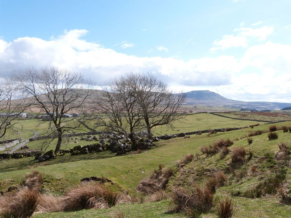 Kingfisher Lodge - Yorkshire Dales - 1175977 - thumbnail photo 21