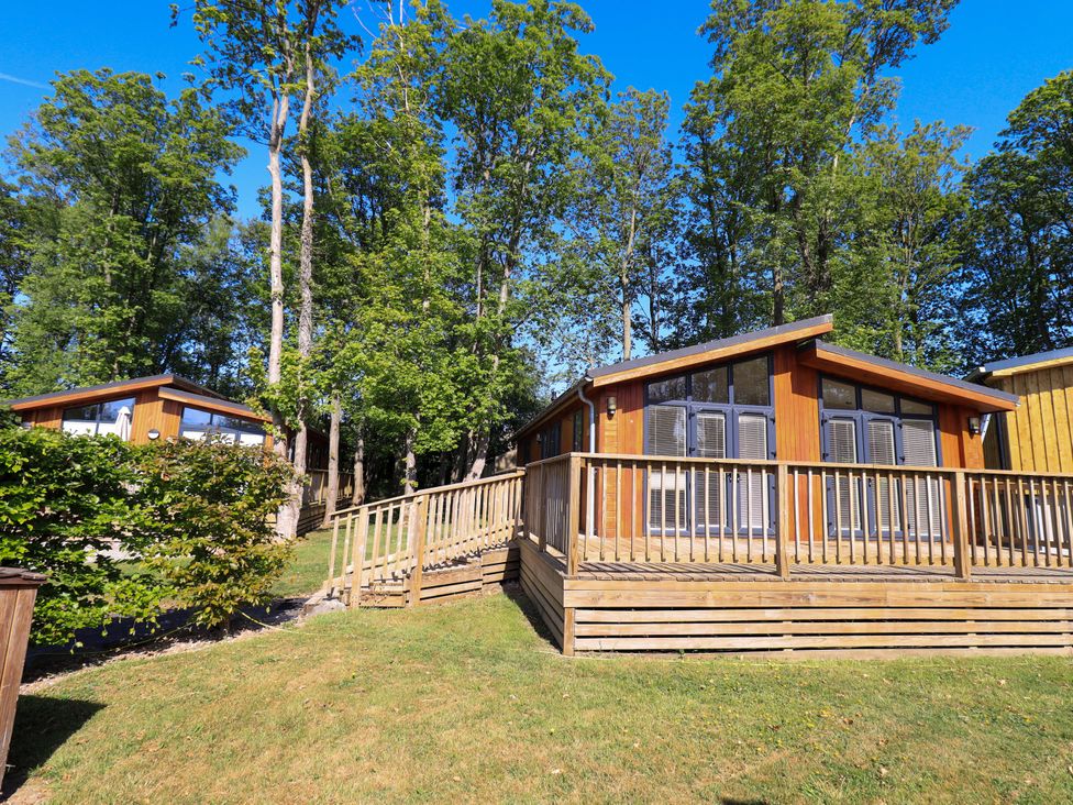 Wooden lodges with decks surrounded by trees and grass at Kingfisher Lodge in Gargrave