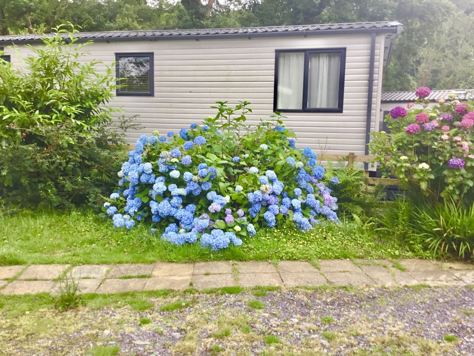 An outdoor area with hydrangeas near a building at 38 The Green