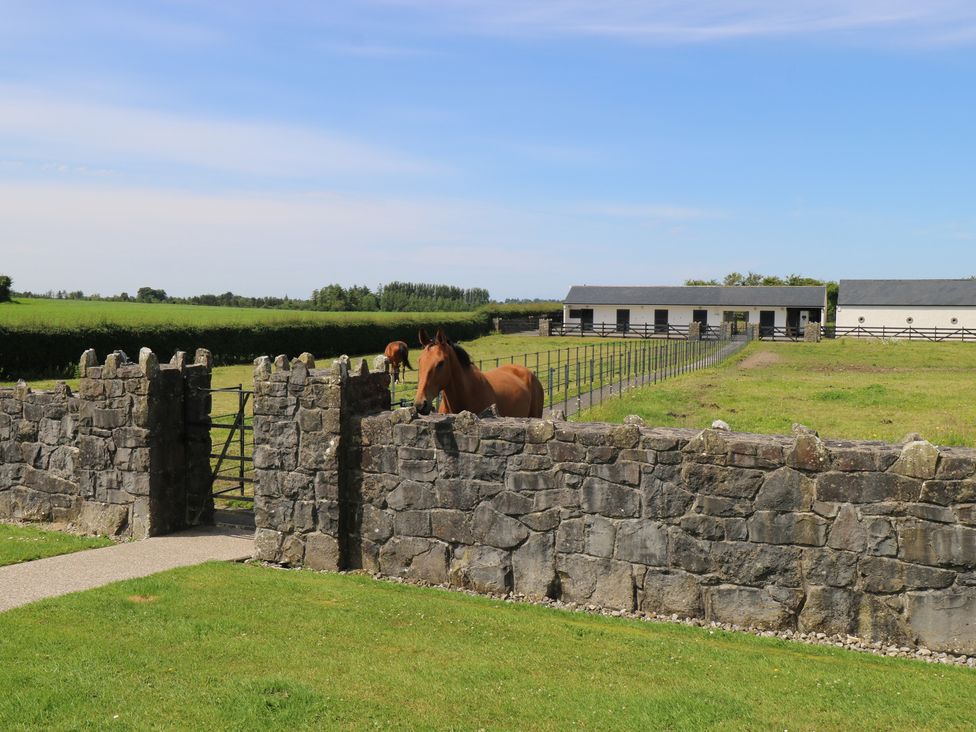 A farm with horses near a stone wall and barn at The East Wing Apartment Claremorris