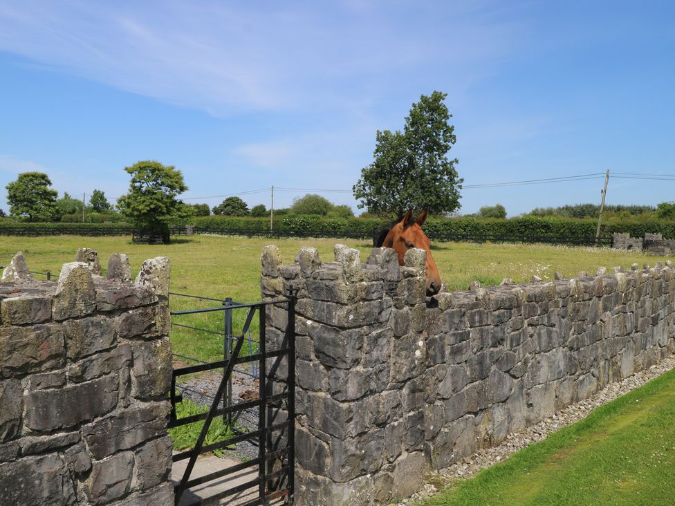 A horse near a stone wall in a grassy area at The East Wing Apartment in Claremorris