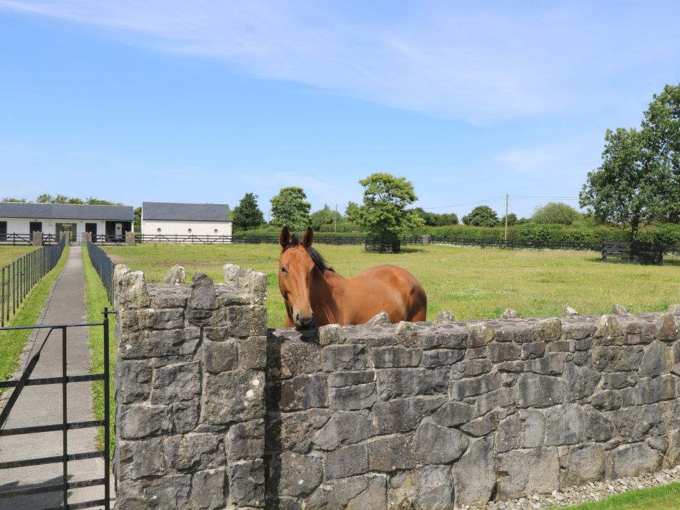 A horse near a stone wall with a barn and grassy field at The East Wing Apartment Claremorris
