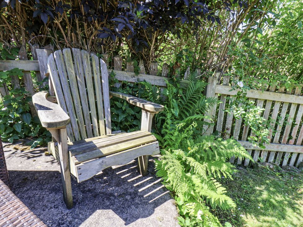 A wooden chair surrounded by ferns and a fence at Rigg Cottage in Sandsend