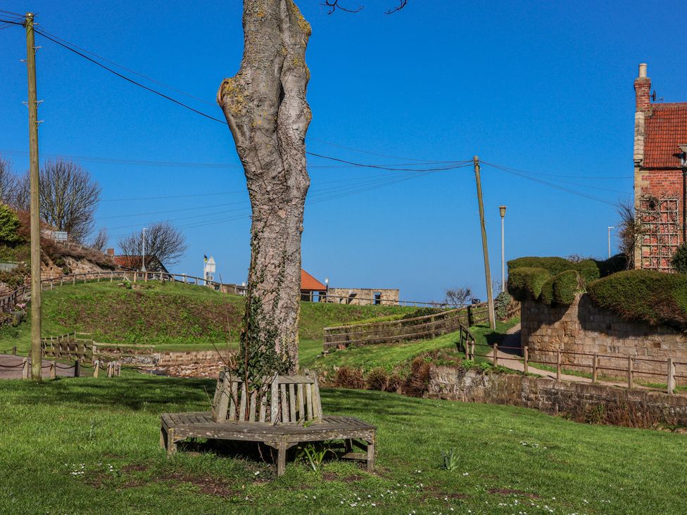 An outdoor space with a tree and bench at Rigg Cottage, Mount Pleasant, Sandsend