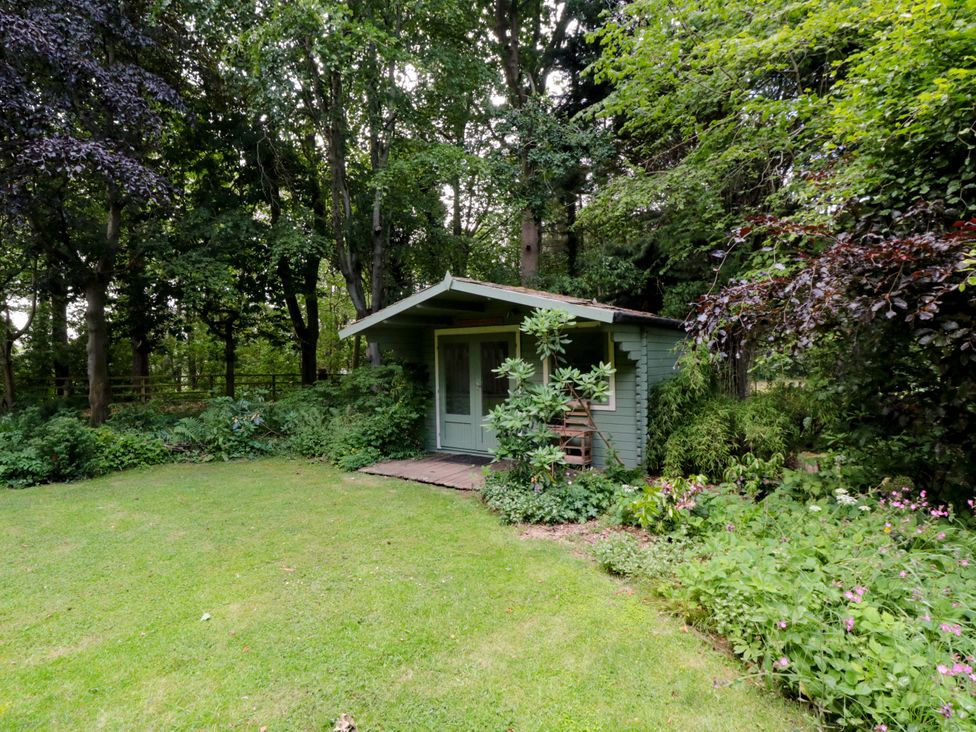 A garden with a green shed surrounded by plants at Lawnswood