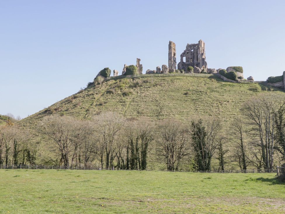 A view of castle ruins on a hill with trees and grass at Flat 9 in Swanage