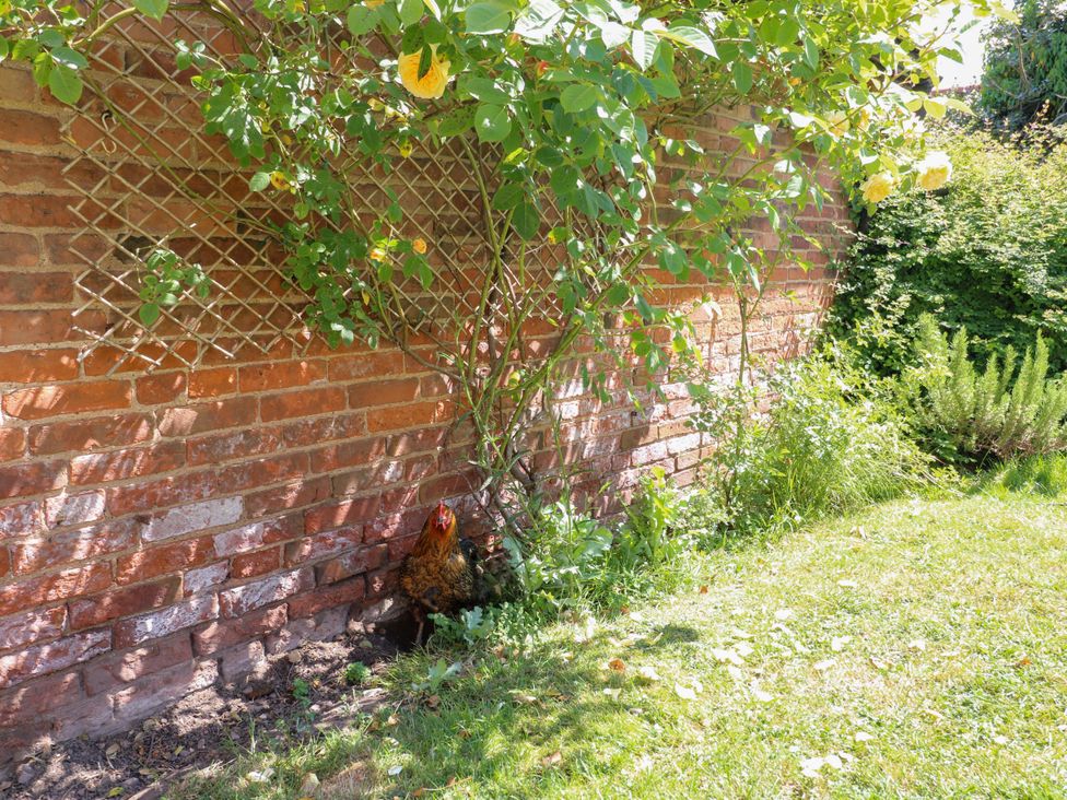 Petal Cottage -  - 1176127 - thumbnail photo 21