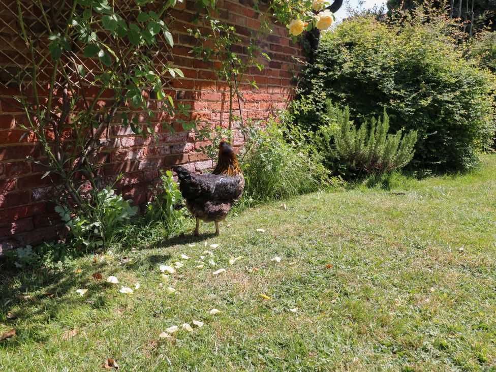 Petal Cottage -  - 1176127 - thumbnail photo 22