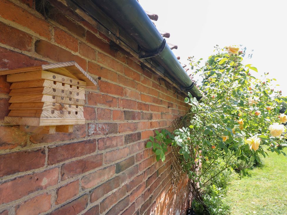 Petal Cottage -  - 1176127 - thumbnail photo 23