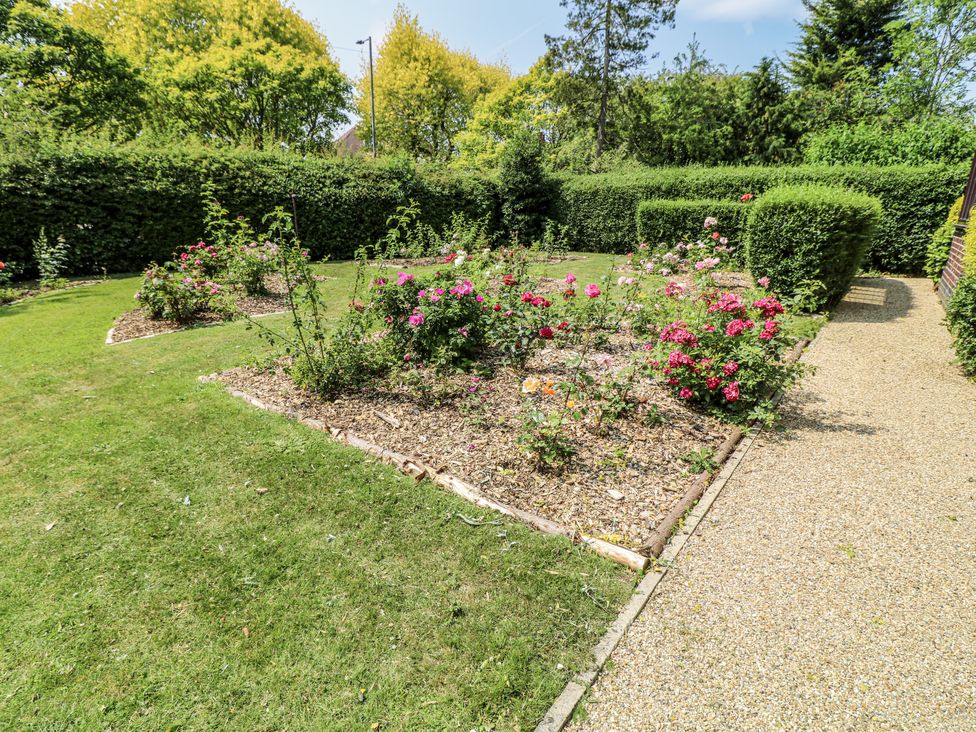 A garden with rose bushes and a gravel pathway at Bentfield House Rotherham near Whiston