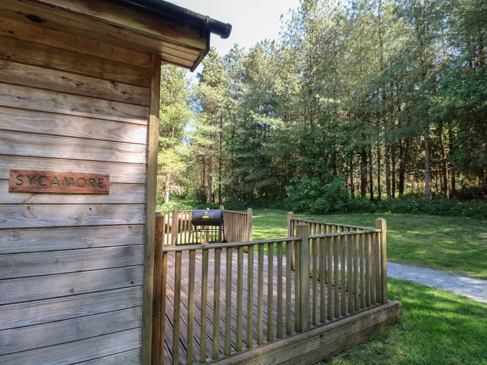 An outdoor wooden deck with railing and a barbecue grill next to a wooden building with a sycamore sign surrounded by trees at Sycamore Lodge in Rosliston