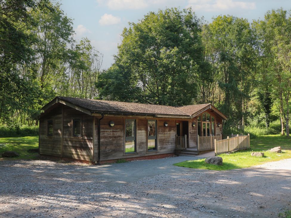A wooden lodge surrounded by trees with a gravel driveway at Cedar Lodge in Rosliston
