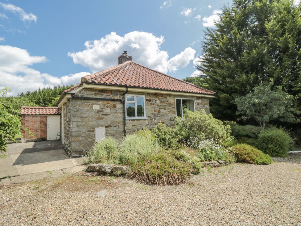 A house with a garden and trees at Low Muffles Bridge