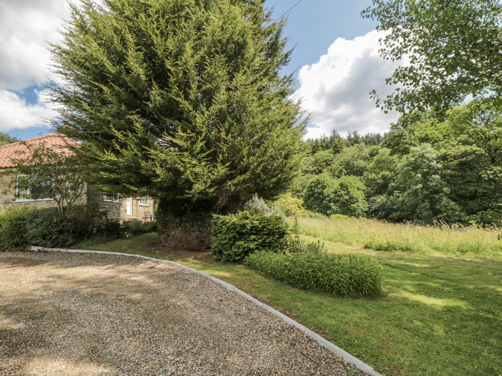 A garden area with a house and a large tree at Low Muffles Bridge
